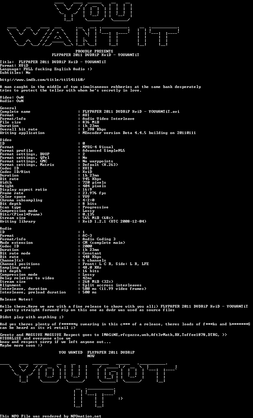 FLYPAPER.2011.DVDRiP.XviD-YOUWANTiT.nfo rendered as an image